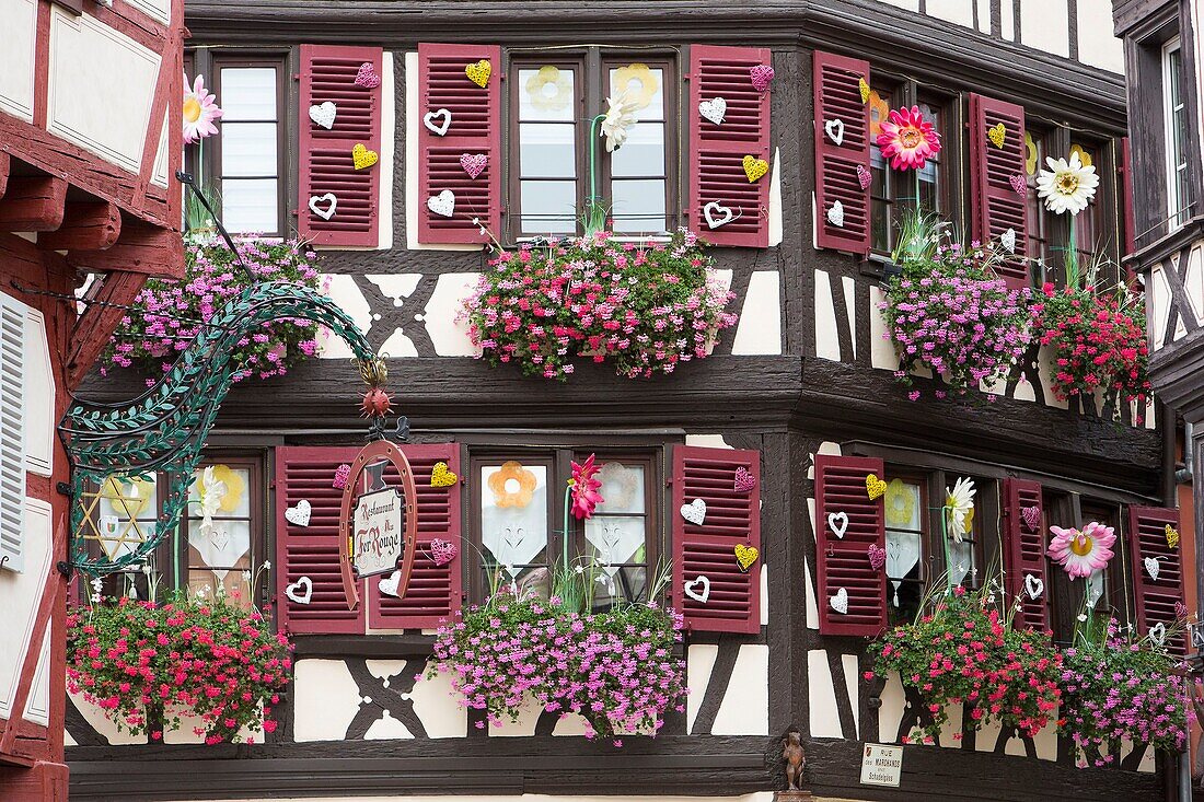 Frankreich, Haut Rhin, Route des Vins d'Alsace, Colmar, Fassade eines traditionellen Hauses mit dem Geschäft Aux Vieux Pignons in der Straße Marchands