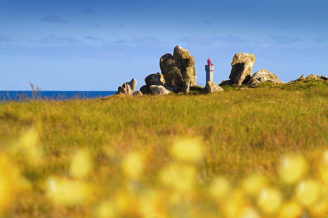 France, Finistere, Ponant Islands, Armorica Regional Nature Park, Iroise Sea, Ouessant Island, Biosphere Reserve (UNESCO), Jument Lighthouse in Spring