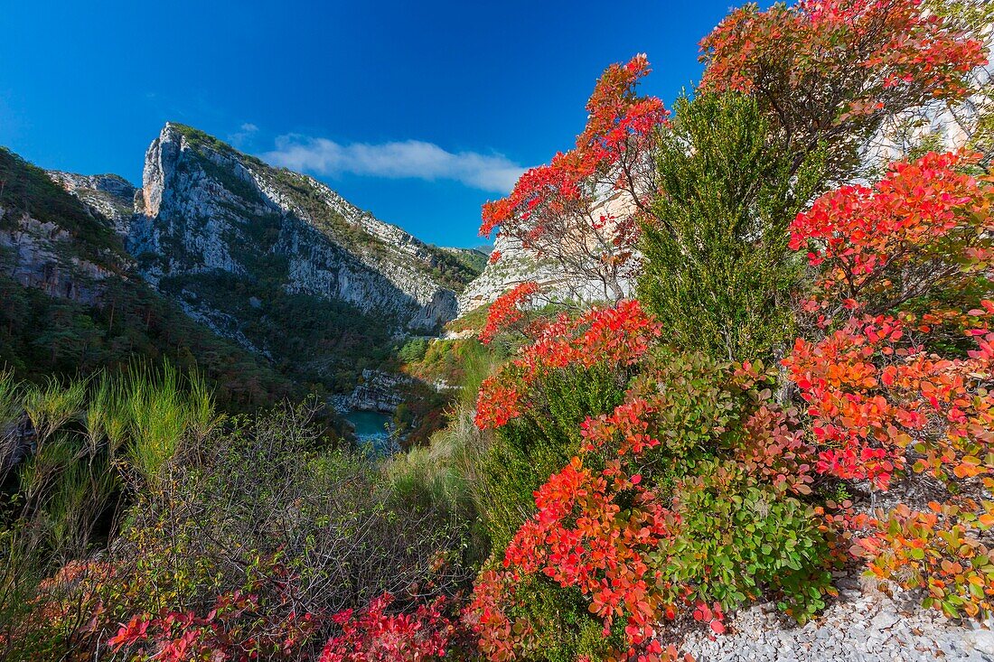 Frankreich, Alpes-de-Haute-Provence, Regionaler Naturpark Verdon, Grand Canyon du Verdon, der Fluss Verdon am Eingang zum Samson-Korridor, vom Weg Blanc-Martel auf dem GR4 aus