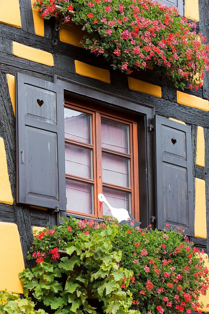 France, Haut Rhin, Route des Vins d'Alsace, Riquewihr labelled Les Plus Beaux Villages de France (One of the Most Beautiful Villages of France), half timbered house facade