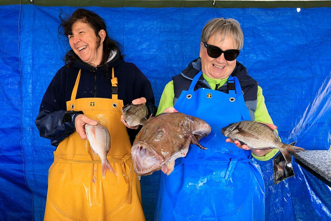 France, Bouches du Rhone, Blue Coast, Martigues, neighborhood of Carro, quai Jean Vérandy, fish market