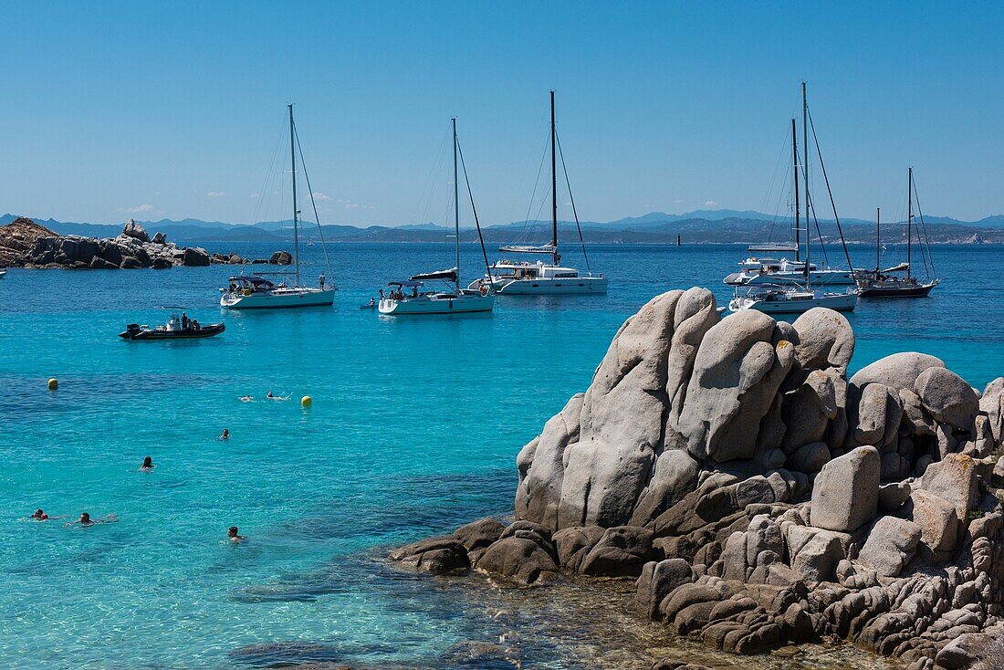 France, Corse du Sud, Bonifacio, Lavezzi Islands, natural reserve of the mouths of Bonifacio, many sailboats wet in creeks with turquoise water