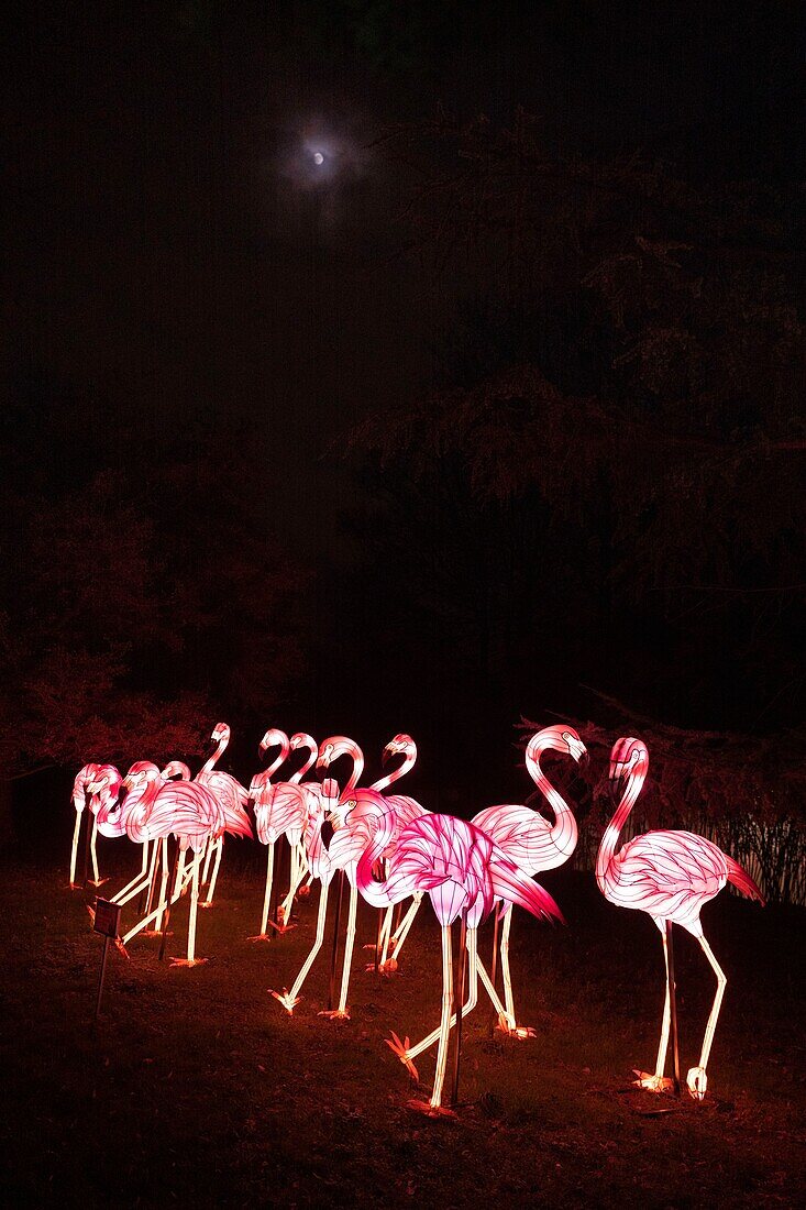 Frankreich, Paris, Jardin des Plantes, Erstes Lichterfest, Arten im Prozess der Erleuchtung