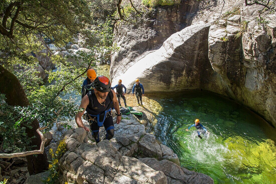 France, Corse du Sud, Bocognano, the canyon of the Richiusa, jump in the basins emerald color