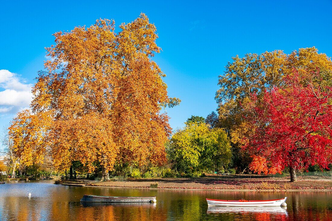 France, Paris, the Bois de Vincennes in autumn, Lake Daumesnil