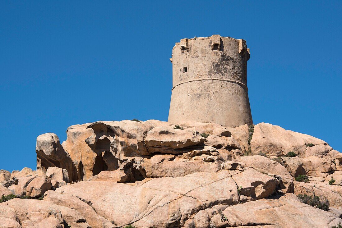 Frankreich, Corse du Sud, Campomoro, Tizzano, Wanderung auf dem Küstenpfad im Senetosa-Reservat, oberhalb des Leuchtturms, der Genueser Turm