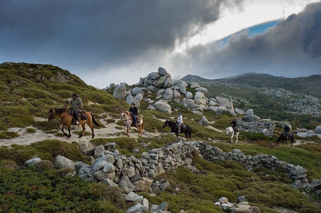 Frankreich, Corse du Sud, Alta Rocca, Hochebene von Coscione, Reiten auf der Hochebene um das Castellu d'Ornucciu mit Reitlehrerin Justine Tauvel