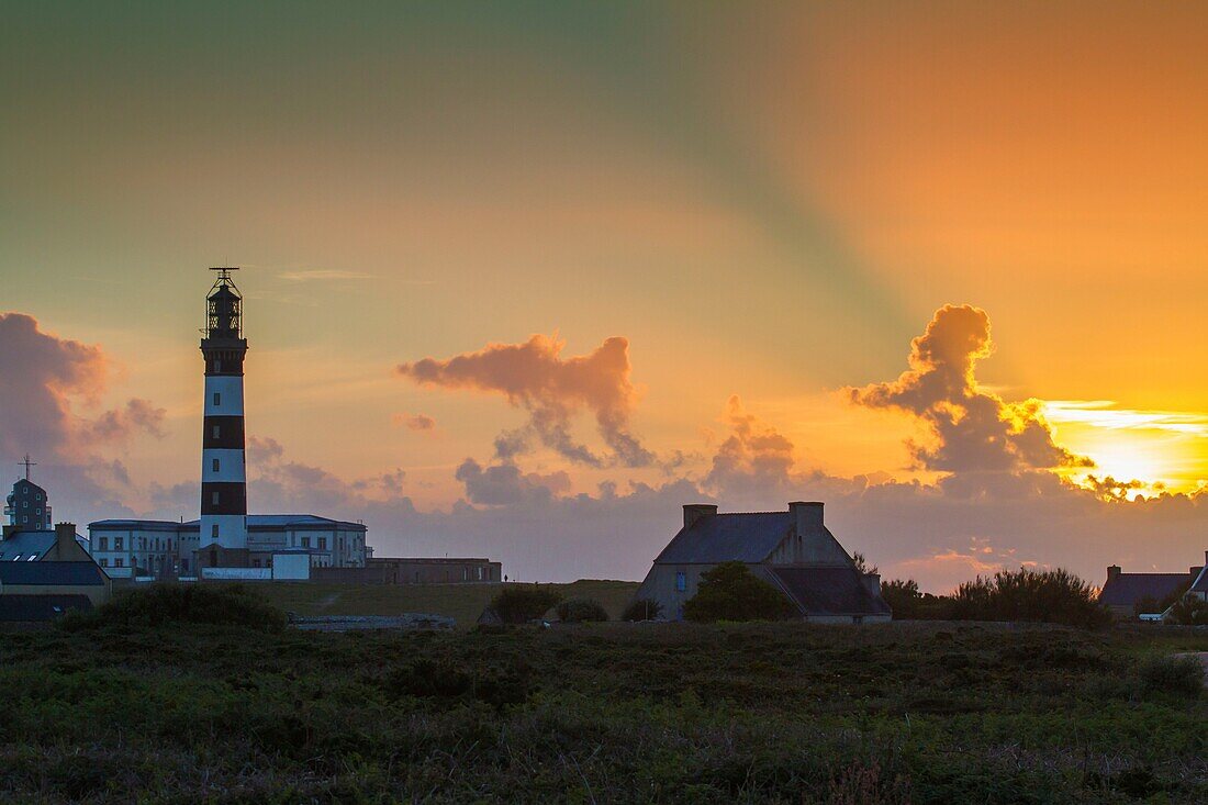 France, Finistere, Ponant Islands, Armorica Regional Nature Park, Iroise Sea, Ouessant Island, Biosphere Reserve (UNESCO), Path to Pointe de Pern and Créac'h Lighthouse