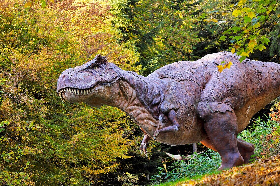 France, Doubs, Charbonnieres les Sapins, Dino Zoo prehistoric park, Tyrannosaurus rex