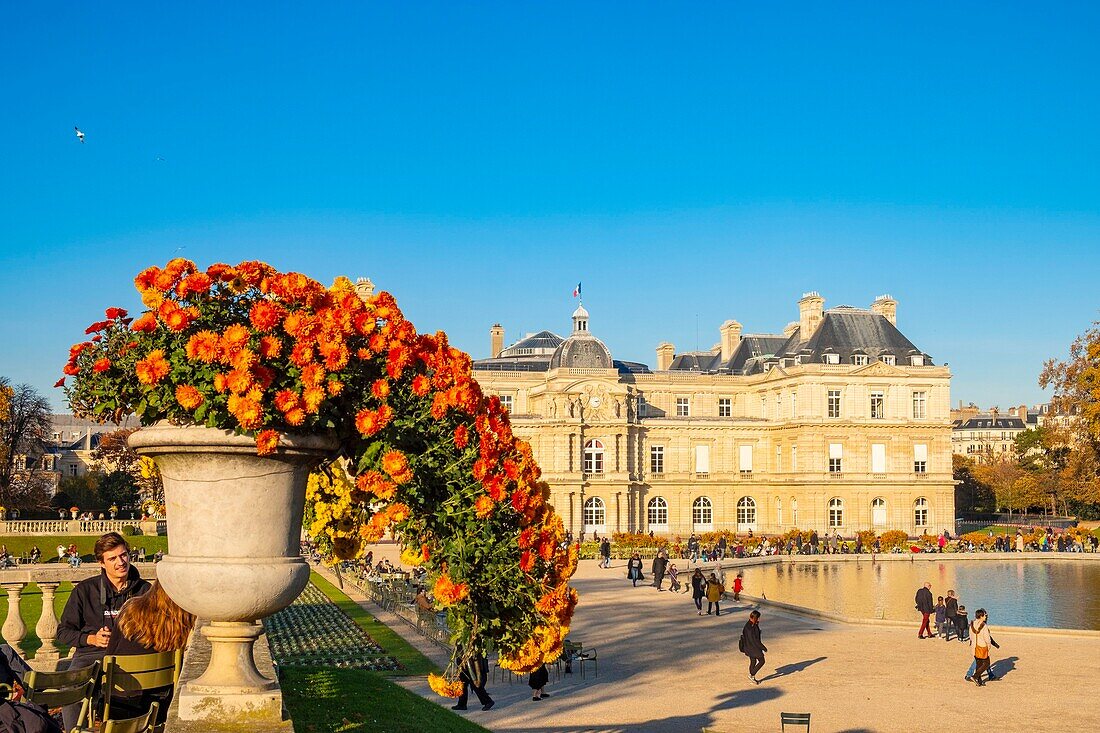 Frankreich, Paris, Luxemburgischer Garten im Herbst, der Senatspalast