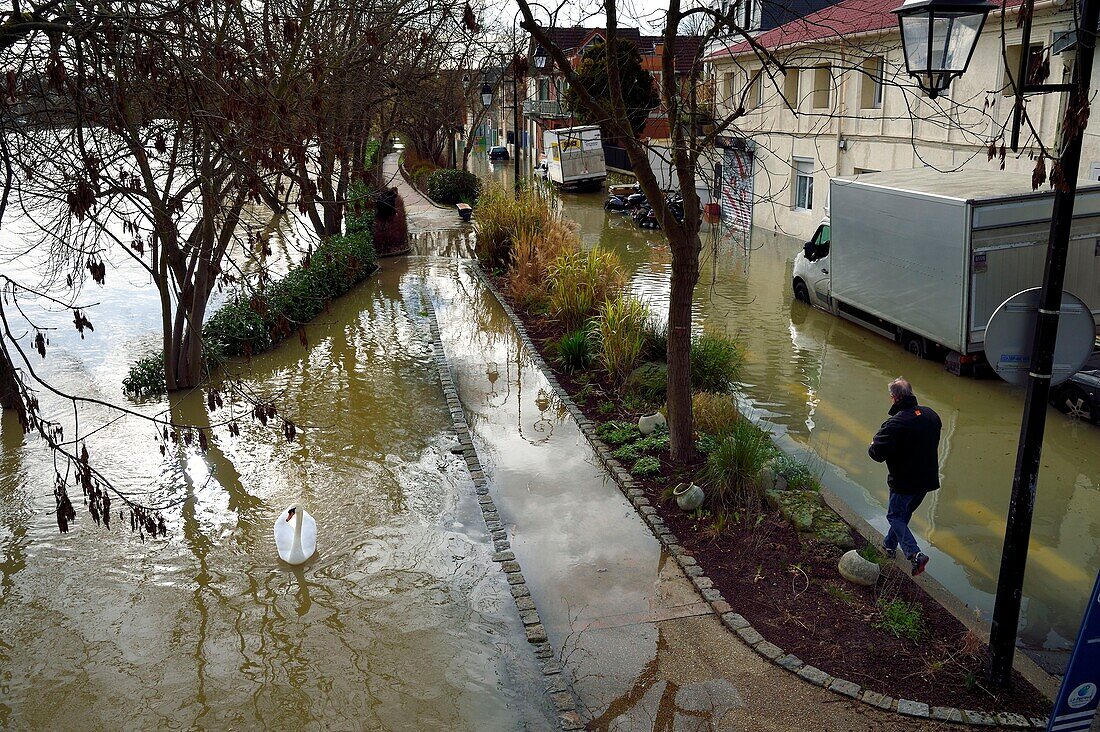 Frankreich, Val de Marne, Le Perreux sur Marne, das Marne-Ufer überschwemmt