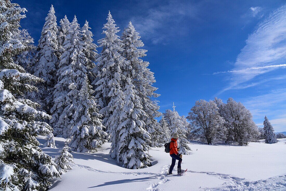 Frankreich, Jura, GTJ große Überquerung des Jura auf Schneeschuhen, Durchquerung majestätischer Landschaften zwischen dornigem Wald und Lichtung bei Molunes
