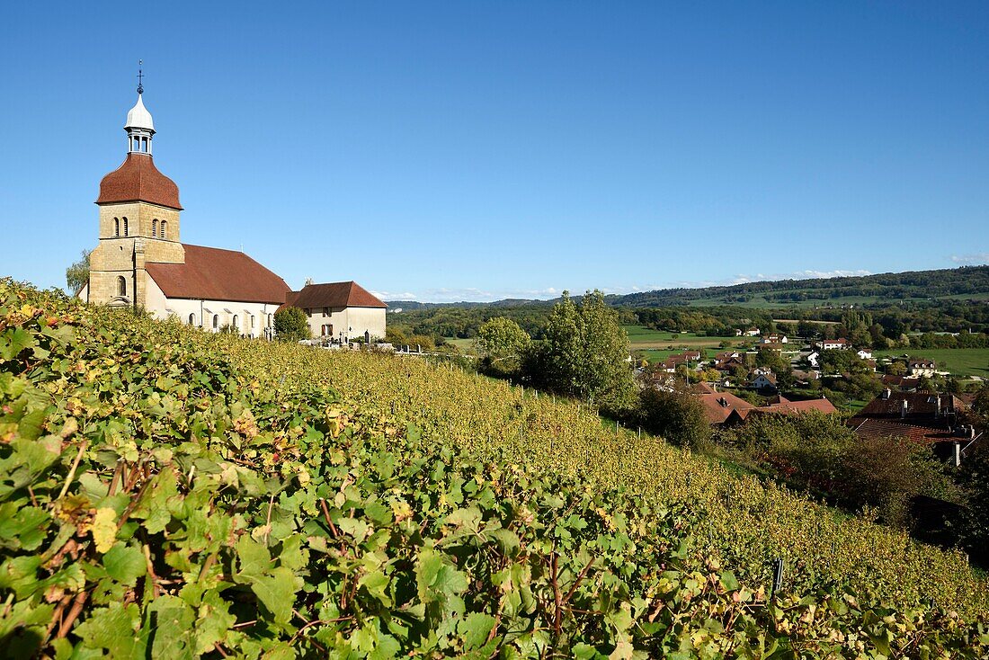 Frankreich, Jura, Saint Lothain, Kirche aus dem 10. Jahrhundert, Glockenturm von 1716, Weinberg