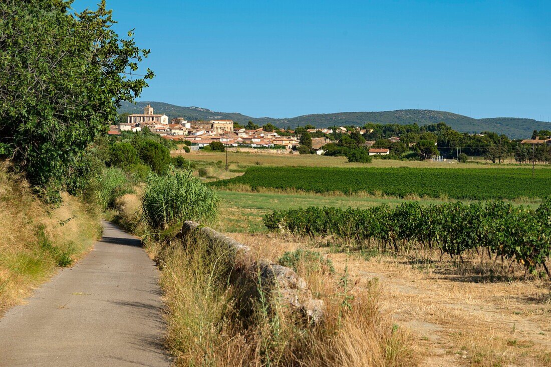 Frankreich, Herault, Poussan, von einer niedrigen Mauer gesäumte Straße entlang eines Weinbergs mit einem Dorf im Hintergrund