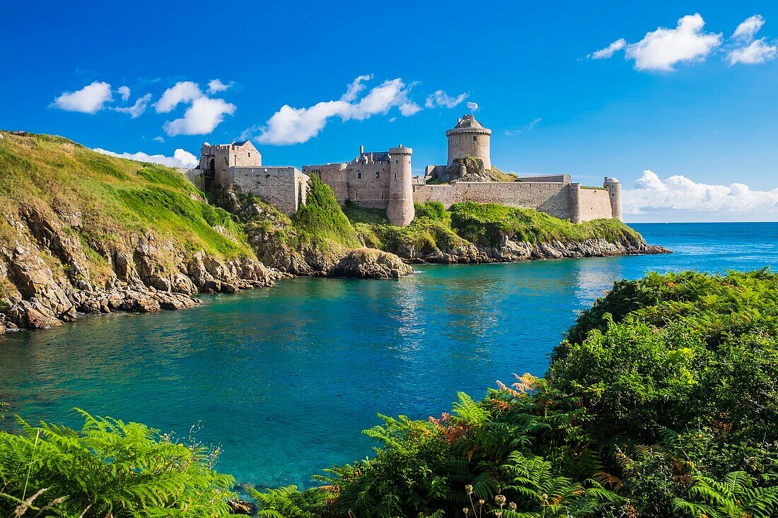 France, Cotes d'Armor, Plevenon, Fort la Latte or Roche Goyon castle, is a 14th century fortress at the Pointe de la Latte, close to Frehel Cape