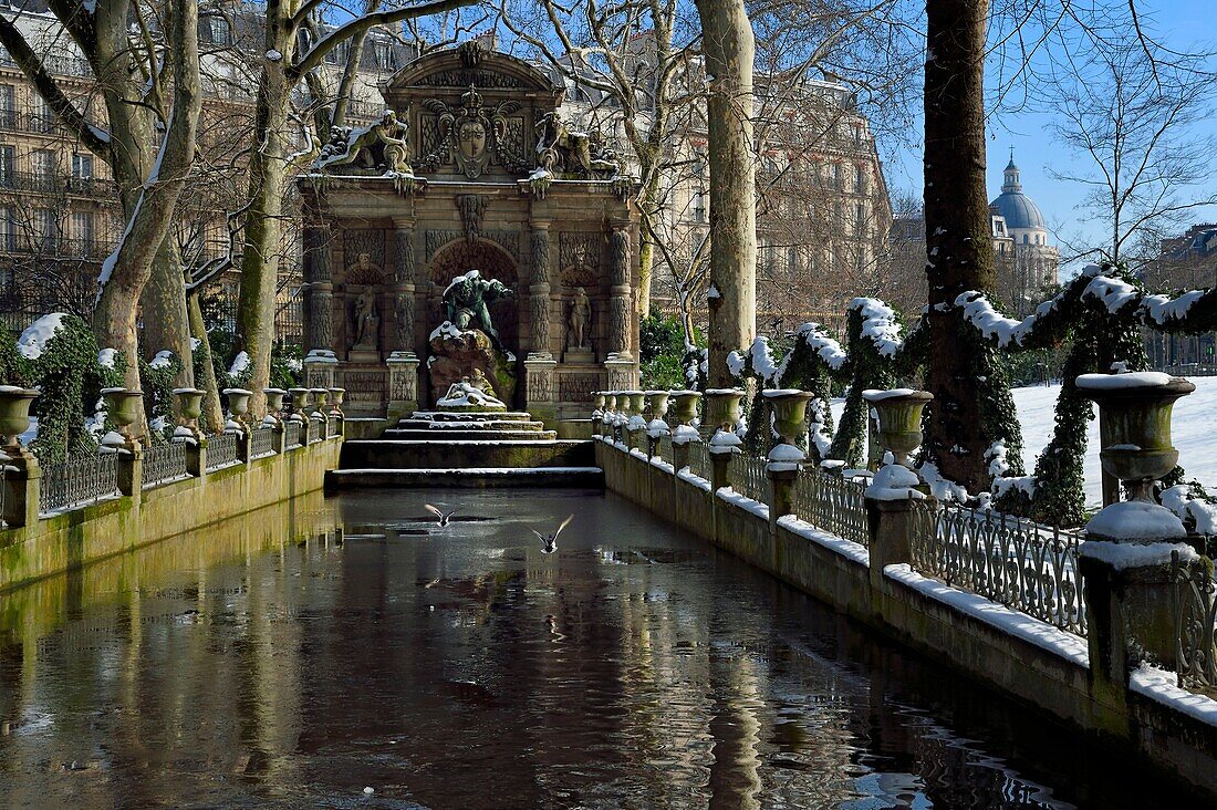 France, Paris, Saint Michel district, the Luxembourg Gardens, la fontaine Medicis (Medicis fountain)