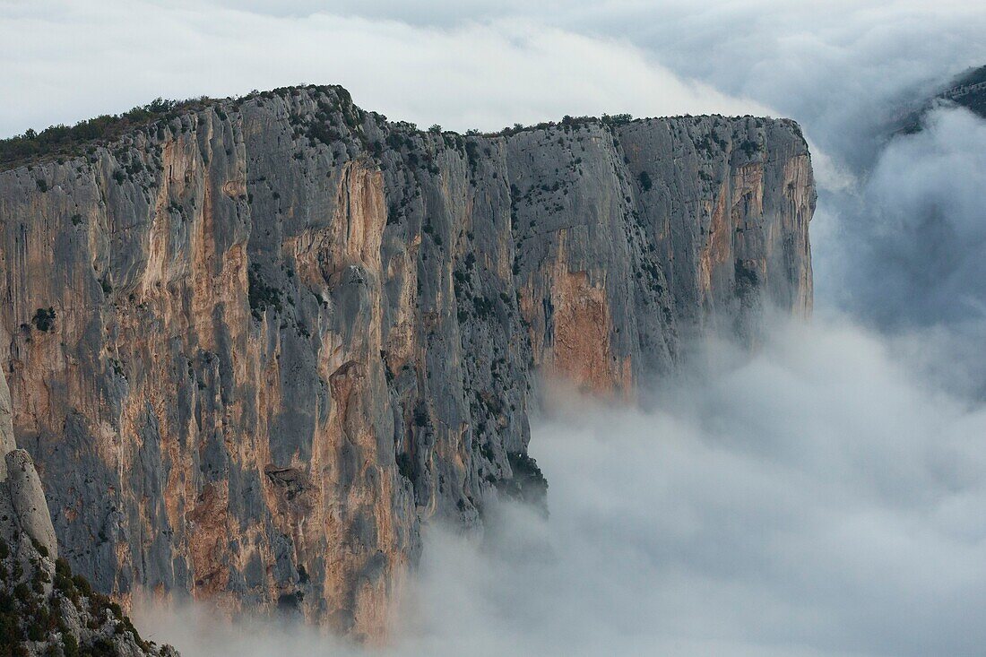 Frankreich, Alpes-de-Haute-Provence, Regionaler Naturpark Verdon, Grand Canyon du Verdon, Klippen vom Aussichtspunkt Pas de la Bau aus gesehen