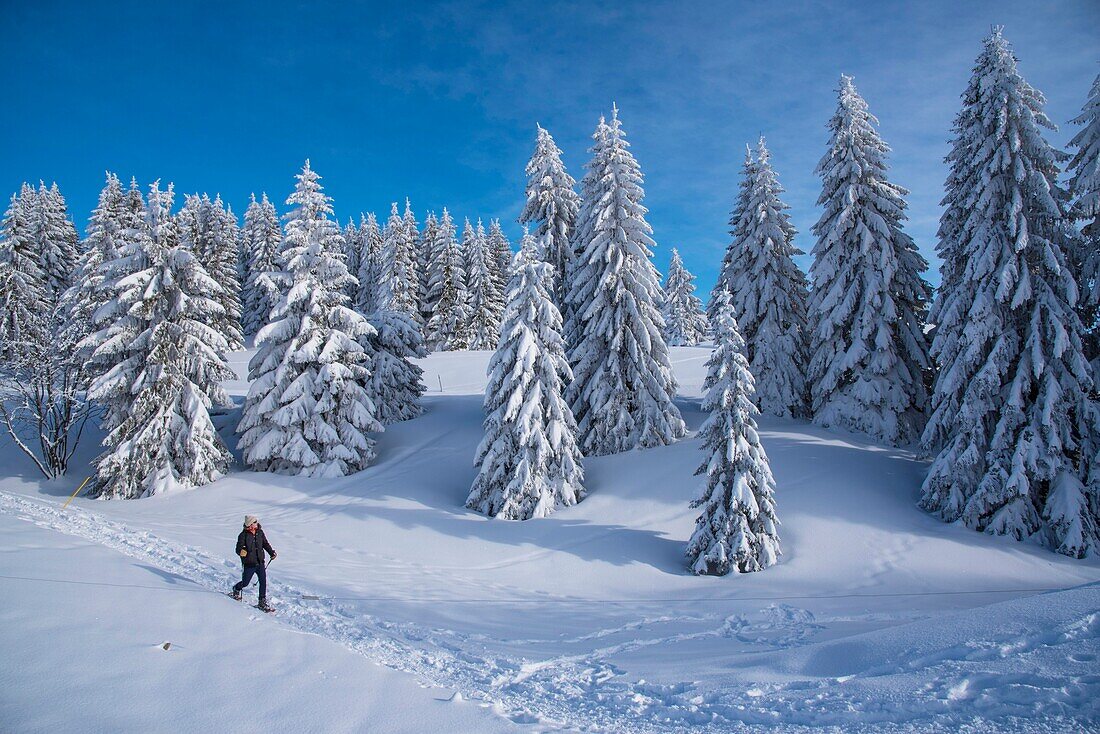 Frankreich, Jura, GTJ große Juradurchquerung auf Schneeschuhen, Ein Wanderer durchquert majestätische Schneelandschaften bei Molunes