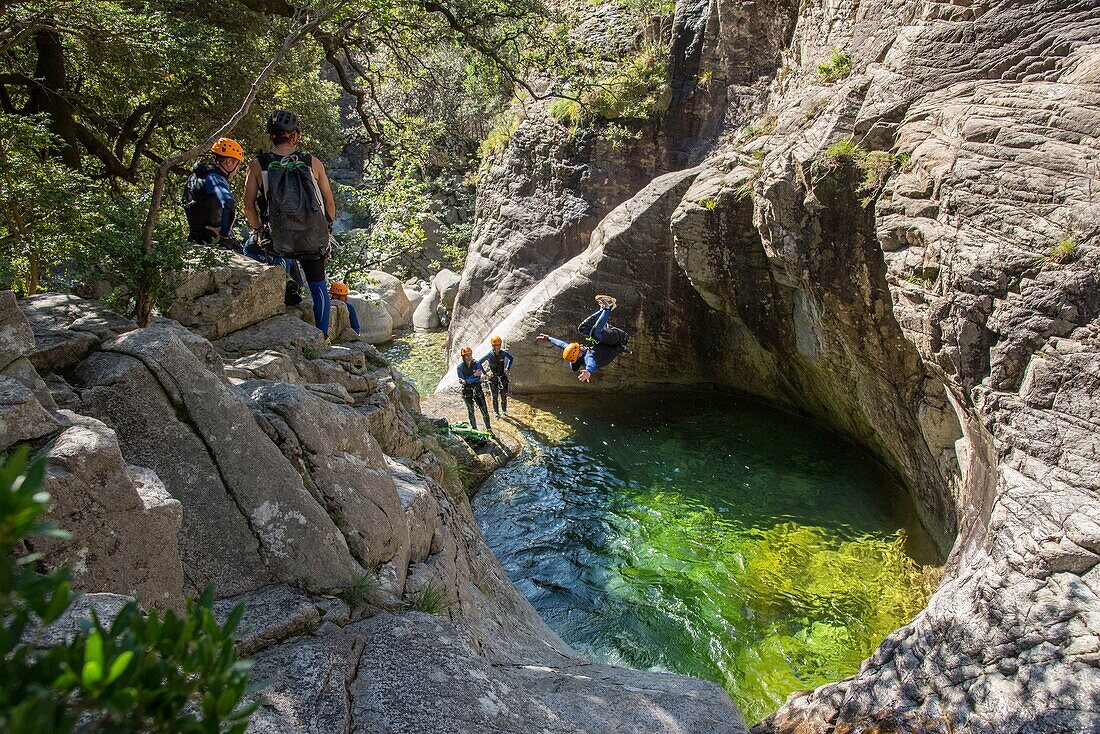 France, Corse du Sud, Bocognano, the canyon of the Richiusa, jump in the basins emerald color