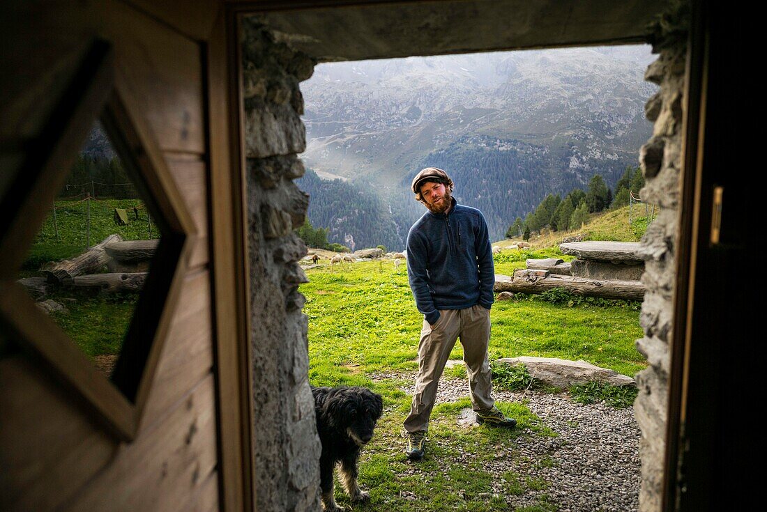 Frankreich, Haute Savoie, Chamonix Mont Blanc, Dorf Argentiere, Gebirgskette des Mont Blanc, Jean-Luc Pitrat, Hirte, Almhütte des Pendant