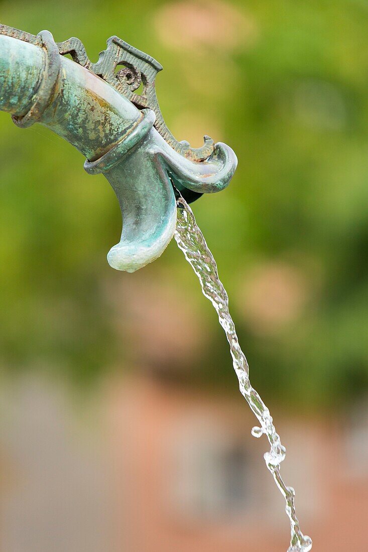 France, Haut Rhin, Route des Vins d'Alsace, Colmar, detail of the water tap of the water basinl on Place de l'Ancienne Douane (former custom square)