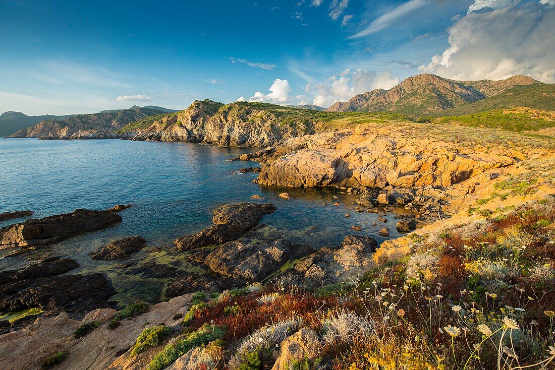 Frankreich, Corse du Sud, Porto, Golf von Porto, von der UNESCO zum Weltkulturerbe erklärt, Spaziergang zur Spitze von Tuselli bei Sonnenuntergang und Capo Rosso