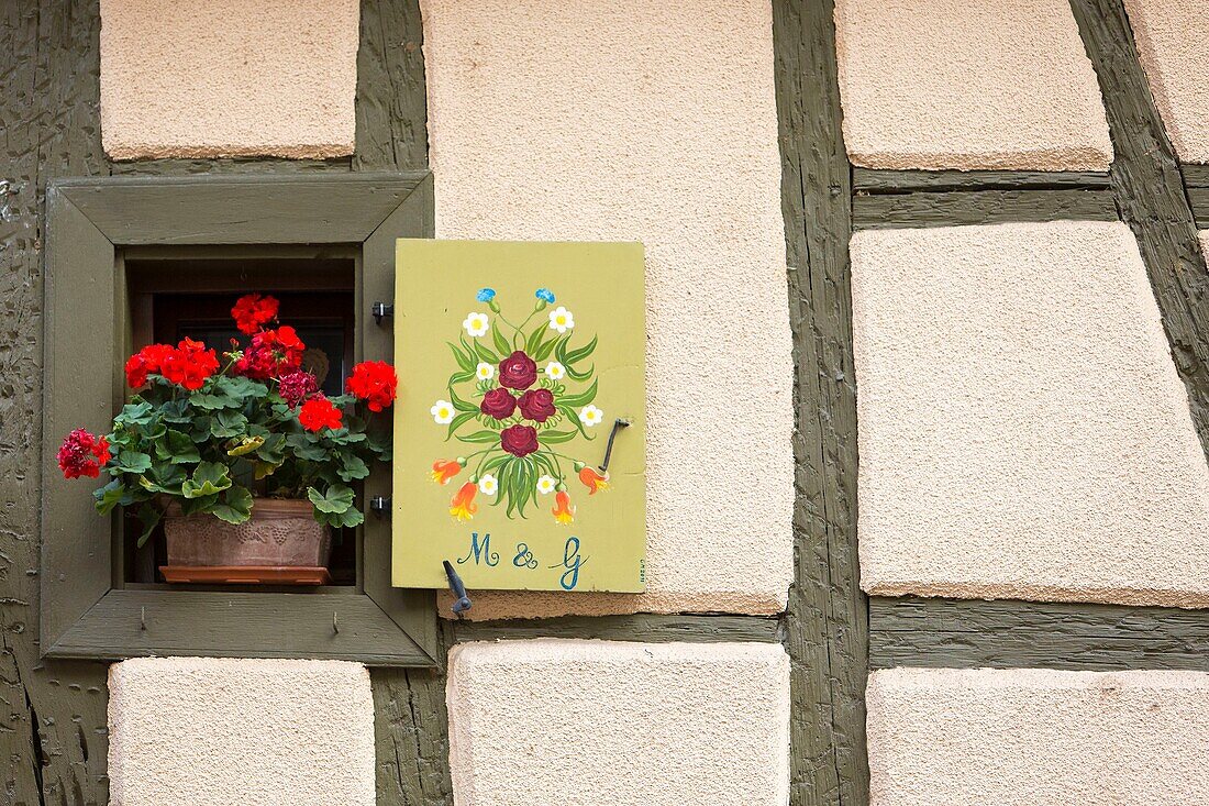 France, Haut Rhin, Alsace Wine Route, Bergheim, detail of half-timbered facade and geranium