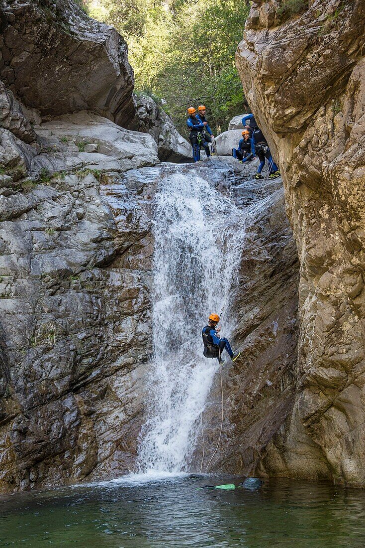 France, Corse du Sud, Bocognano, the canyon of the Richiusa, descent of a waterfall rappelling rope