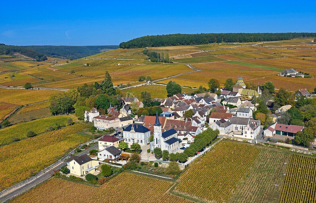 Frankreich, Cote d'Or, Aloxe Corton, Kulturlandschaft der burgundischen Klimazonen, die von der UNESCO zum Weltkulturerbe erklärt wurde, Weinberg an der Côte de Beaune, Route der Grands Crus de Bourgogne (Luftaufnahme)