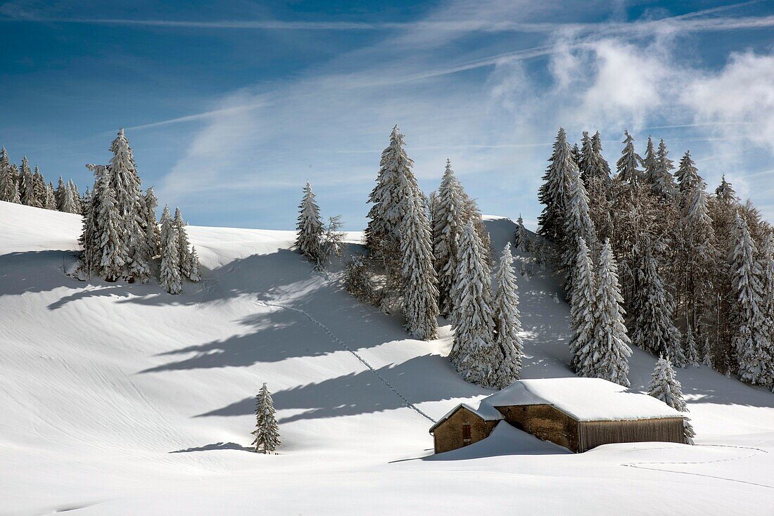 Frankreich, Jura, GTJ, große Juradurchquerung auf Schneeschuhen, Passage der Wanderer am Fuße des Kammes von Merle