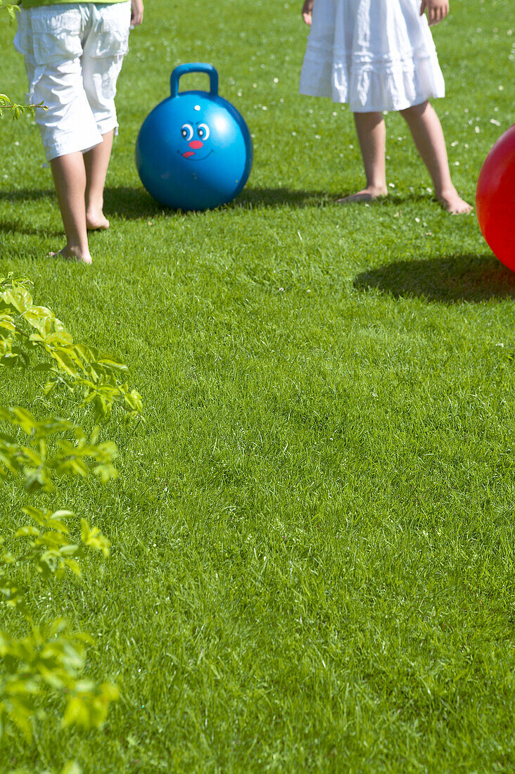 Children with skippy ball on grass