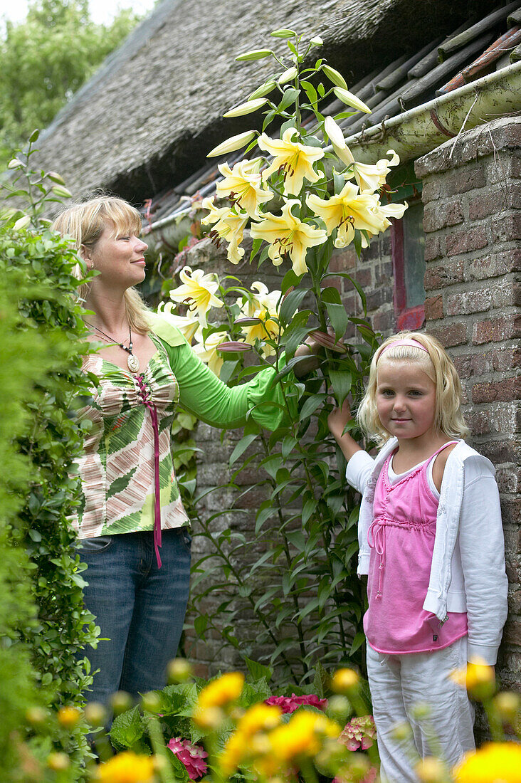 Lilium Honeymoon- Lilies in garden with mother and child