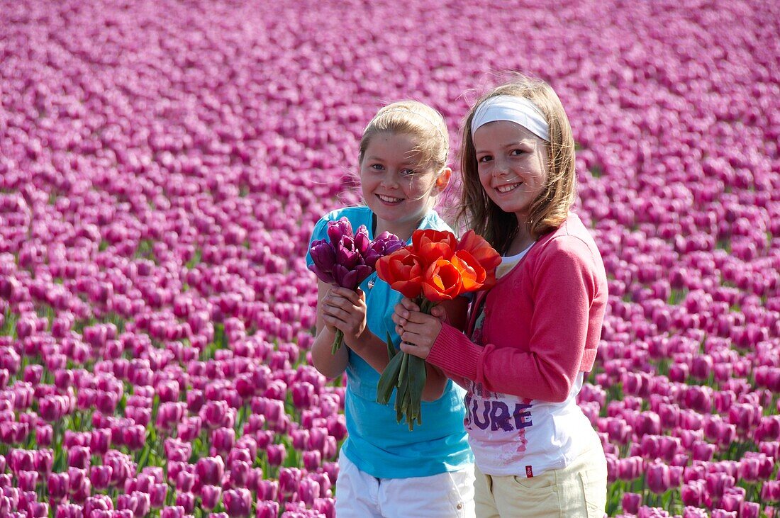 Mädchen in Blumenfeldern