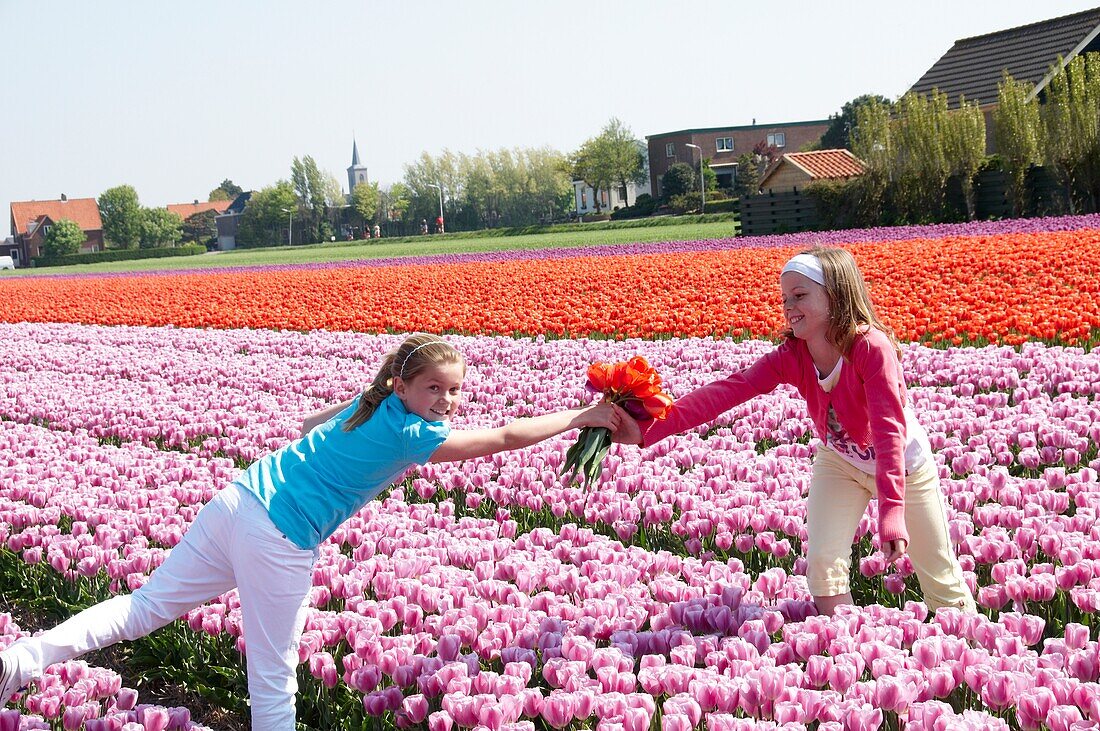 Girls in flower fields