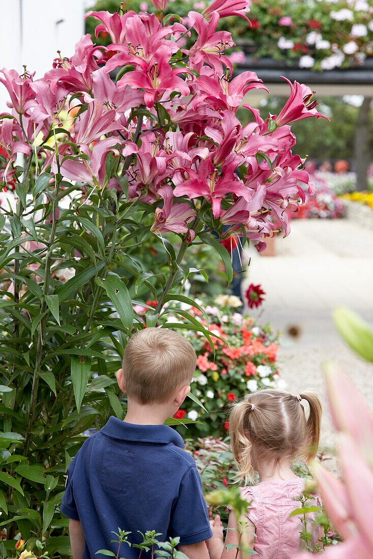 Children beside tree lilies