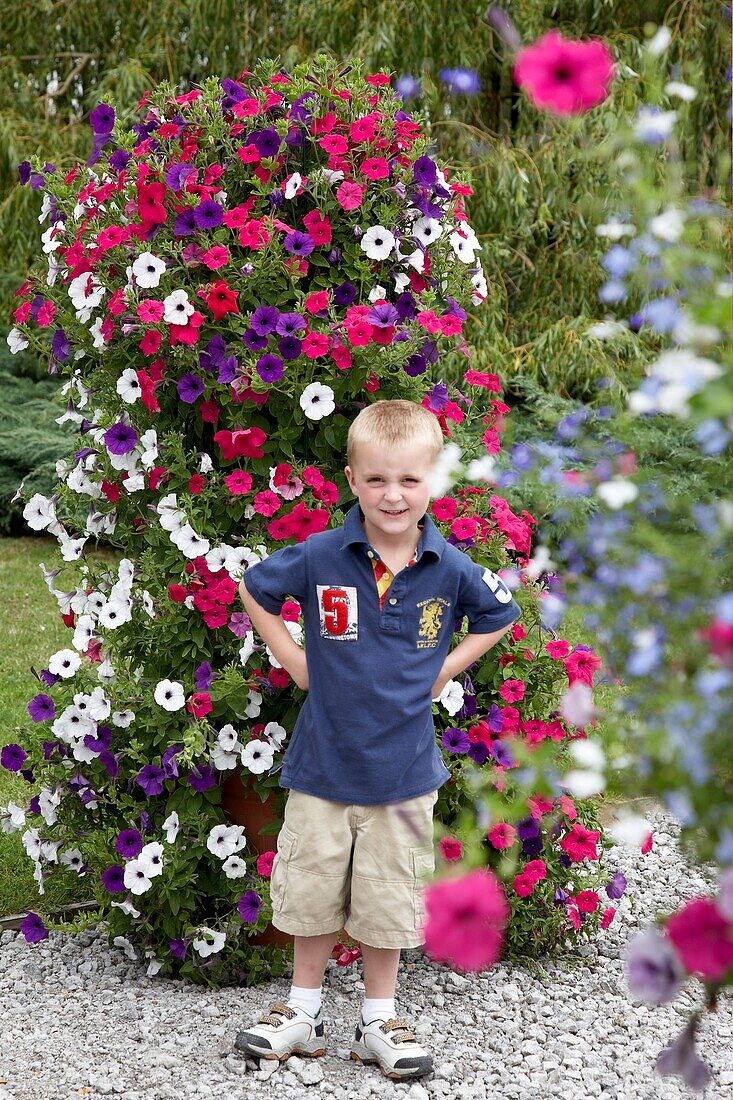 Boy in front of large petunia container