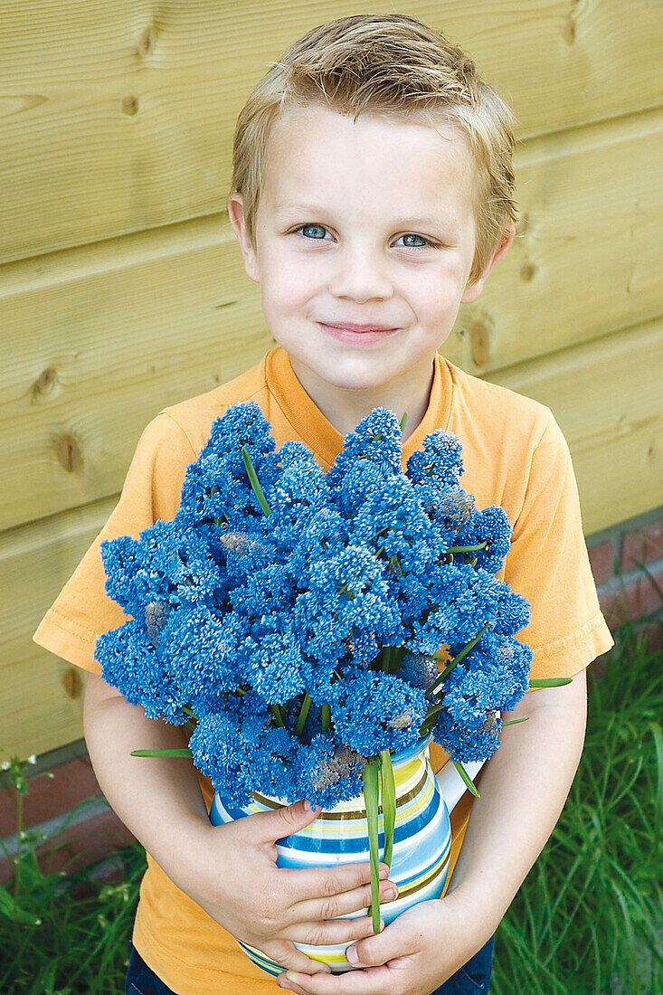 Boy holding grape hyacinths