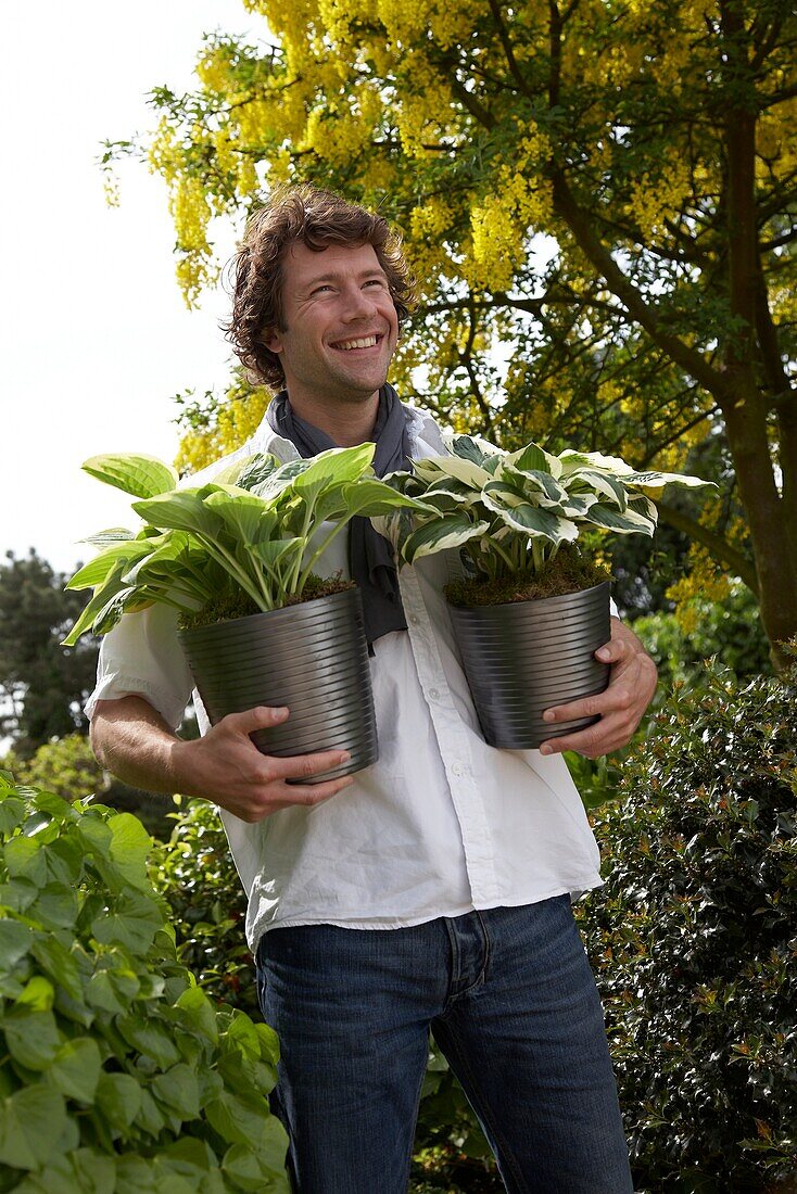 Mann hält Hosta