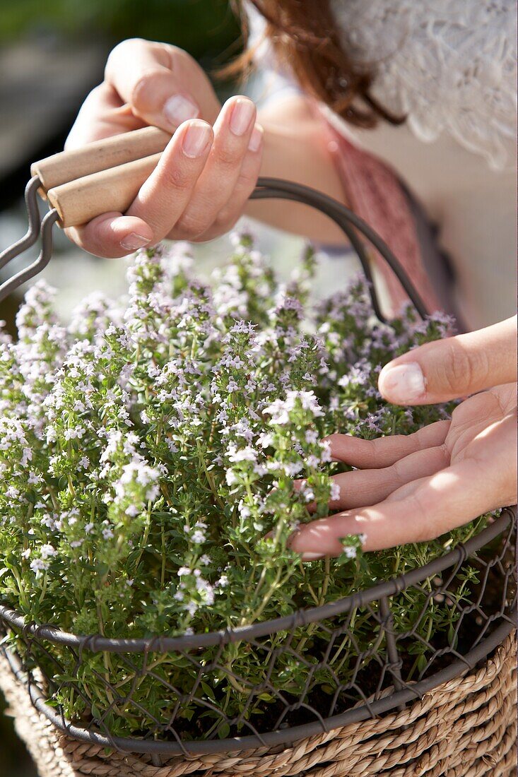 Woman holding thymus