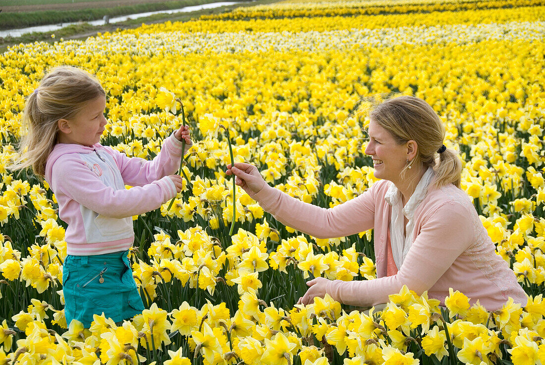 Frauen auf dem Feld