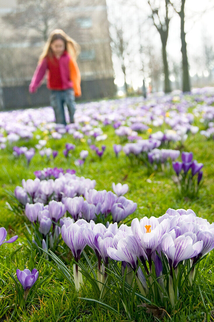 Girl walking through Crocus