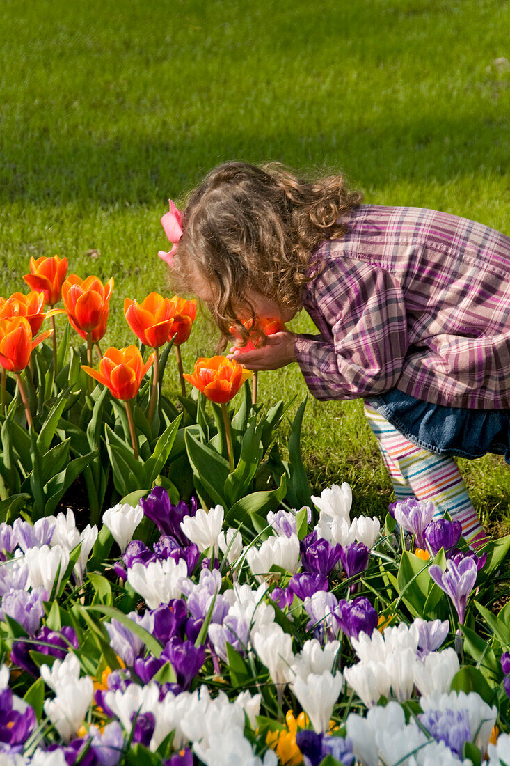 Girl smelling tulip