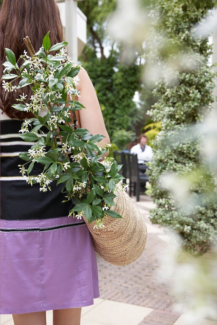 Frau spazierend mit Trachelospermum