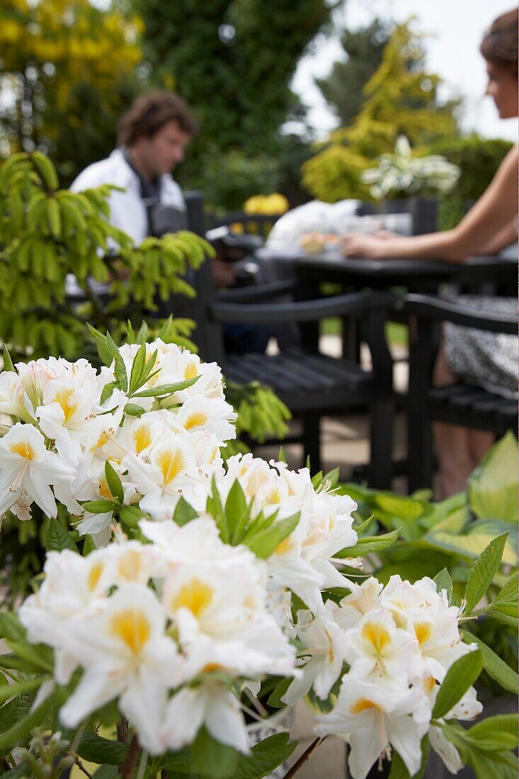 Couple sitting at a garden table