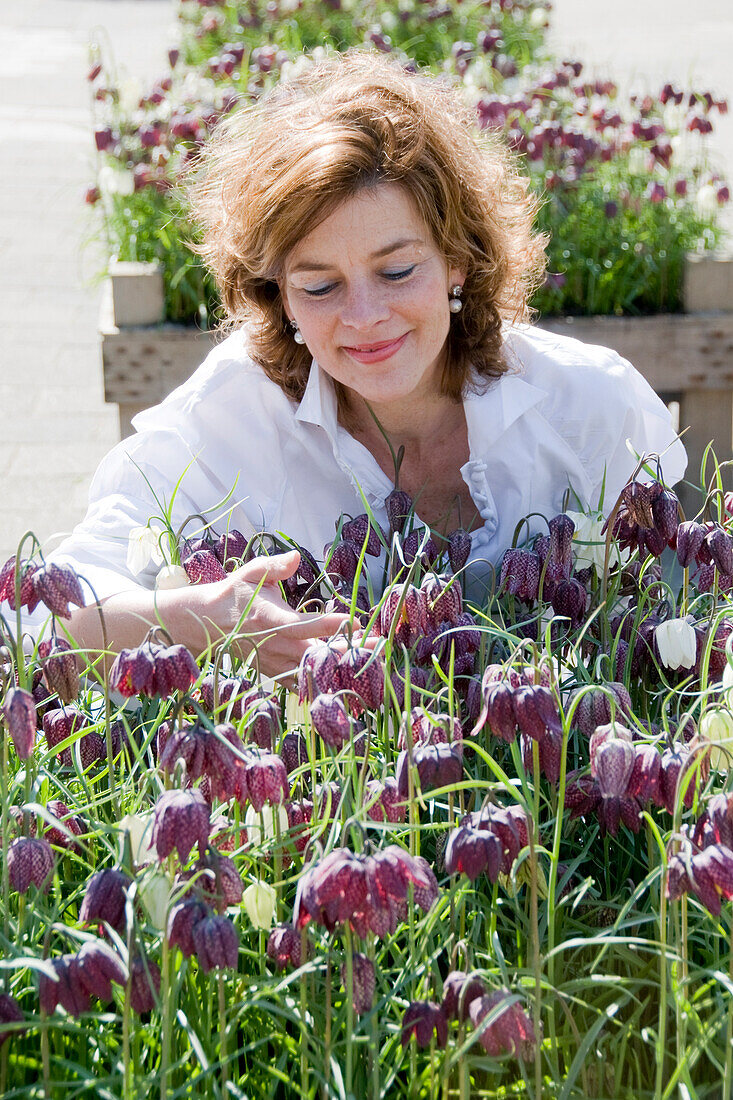 Woman touching Fritillaria meleagris