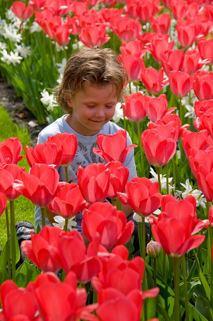 Junge riecht an Tulpen