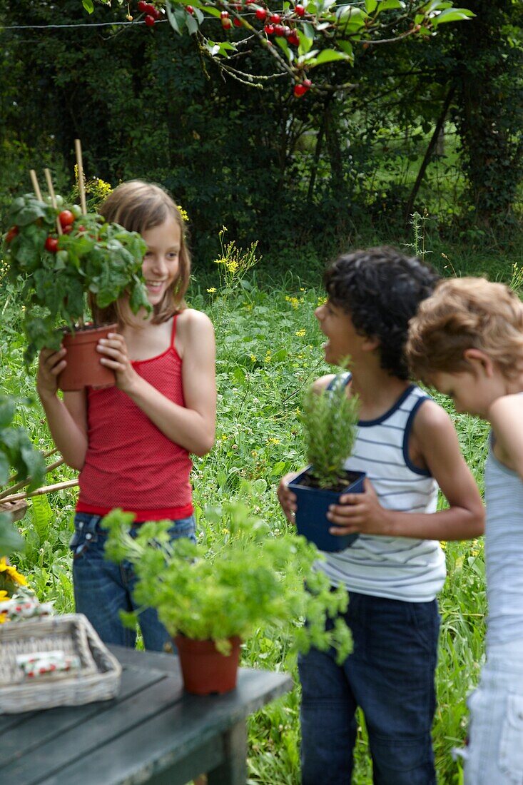 Kinder mit Gemüsepflanzen