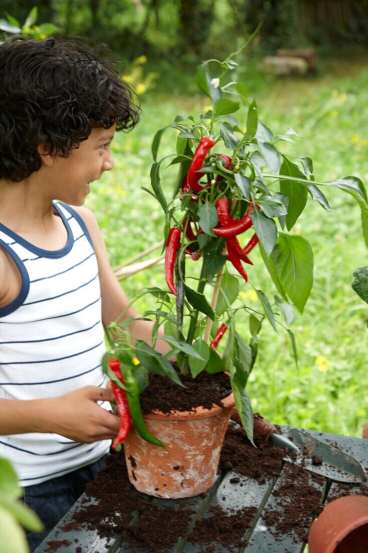 Boy with Capsicum annuum