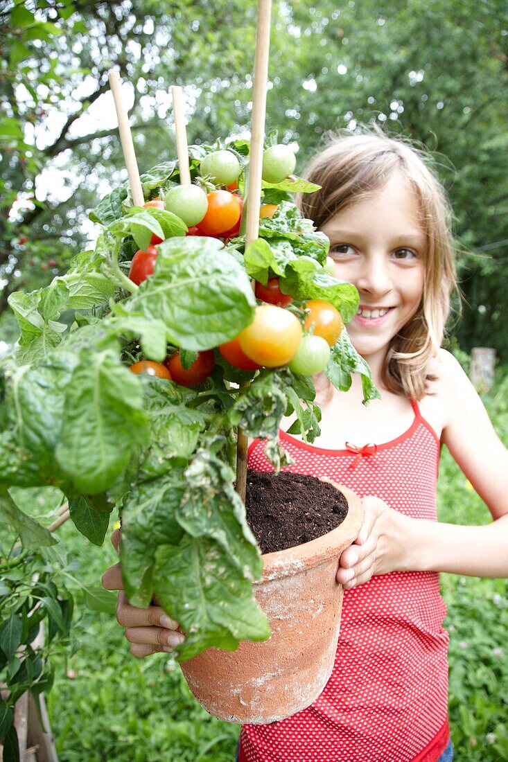 Girl holding tomato plant