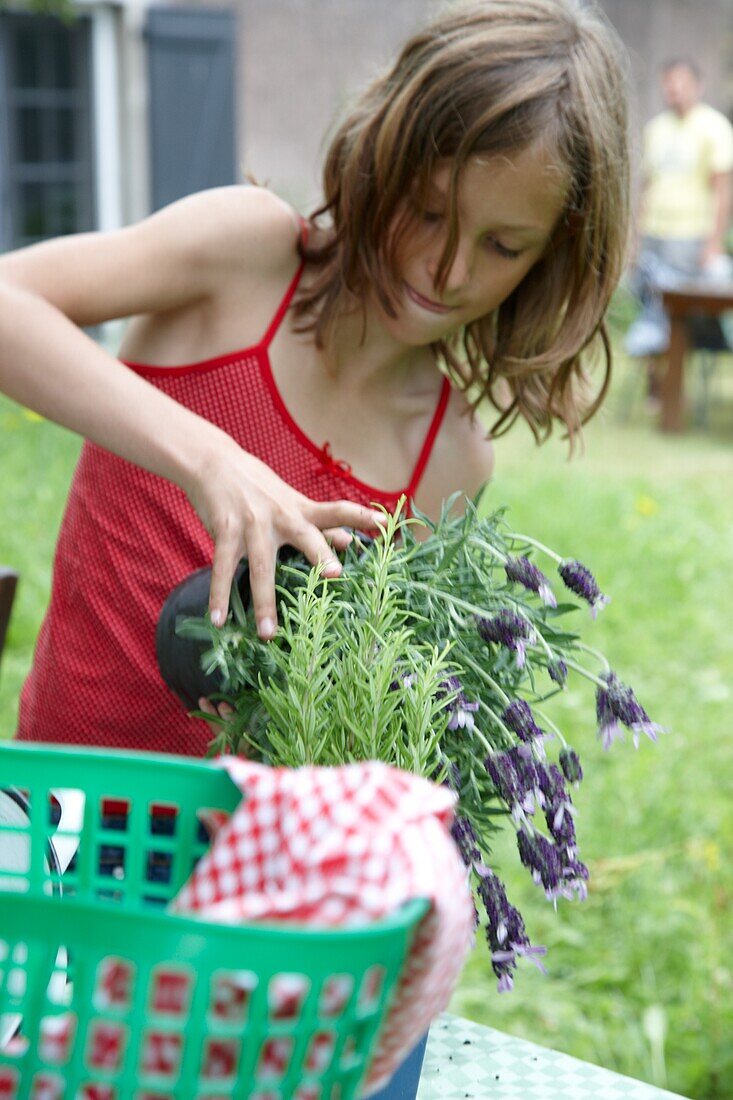 Girl planting lavender